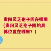 贵阳灵芝孢子园在哪里(贵阳灵芝孢子园的具体位置在哪里？)