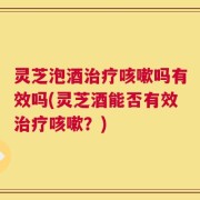 灵芝泡酒治疗咳嗽吗有效吗(灵芝酒能否有效治疗咳嗽？)