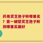 药用灵芝孢子粉哪里买？紫一破壁灵芝孢子粉到哪里买最好