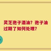 灵芝孢子酒油？孢子油过期了如何处理？