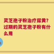 灵芝孢子粉治疗尿黄？过期的灵芝孢子粉有什么用