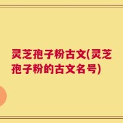 灵芝孢子粉古文(灵芝孢子粉的古文名号)