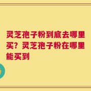 灵芝孢子粉到底去哪里买？灵芝孢子粉在哪里能买到