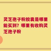 灵芝孢子粉胶囊是哪里能买到？哪里有收购灵芝孢子粉