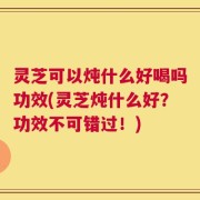灵芝可以炖什么好喝吗功效(灵芝炖什么好？功效不可错过！)