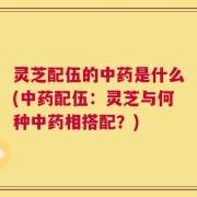 灵芝配伍的中药是什么(中药配伍：灵芝与何种中药相搭配？)