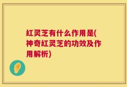 红灵芝有什么作用是(神奇红灵芝的功效及作用解析)