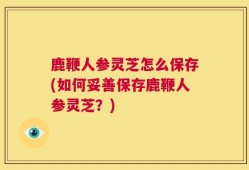 鹿鞭人参灵芝怎么保存(如何妥善保存鹿鞭人参灵芝？)