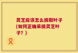 灵芝应该怎么摘取叶子(如何正确采摘灵芝叶子？)