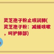 灵芝孢子粉止咳润肺(灵芝孢子粉：减缓咳嗽，呵护肺部)