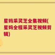 星妈采灵芝全集视频(星妈全程采灵芝视频剪辑)