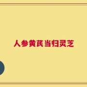 人参黄芪当归灵芝