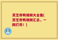 灵芝养鸭视频大全集(灵芝养鸭视频汇总，一网打尽！)