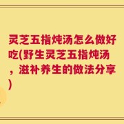 灵芝五指炖汤怎么做好吃(野生灵芝五指炖汤，滋补养生的做法分享)