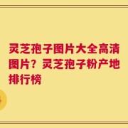 灵芝孢子图片大全高清图片？灵芝孢子粉产地排行榜