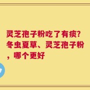 灵芝孢子粉吃了有痰？冬虫夏草、灵芝孢子粉，哪个更好