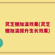 灵芝棚加温效果(灵芝棚加温提升生长效果)