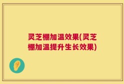 灵芝棚加温效果(灵芝棚加温提升生长效果)