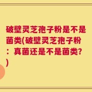 破壁灵芝孢子粉是不是菌类(破壁灵芝孢子粉：真菌还是不是菌类？)