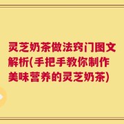 灵芝奶茶做法窍门图文解析(手把手教你制作美味营养的灵芝奶茶)