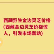西藏野生金边灵芝价格(西藏金边灵芝价格惊人，引发市场轰动)