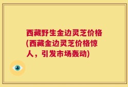 西藏野生金边灵芝价格(西藏金边灵芝价格惊人，引发市场轰动)