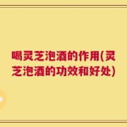 喝灵芝泡酒的作用(灵芝泡酒的功效和好处)