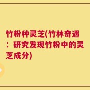 竹粉种灵芝(竹林奇遇：研究发现竹粉中的灵芝成分)