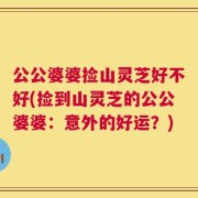 公公婆婆捡山灵芝好不好(捡到山灵芝的公公婆婆：意外的好运？)