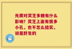 光质对灵芝多糖有什么影响？灵芝上面有很多小孔，也不怎么结实，说是野生的