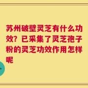 苏州破壁灵芝有什么功效？已采集了灵芝孢子粉的灵芝功效作用怎样呢