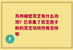 苏州破壁灵芝有什么功效？已采集了灵芝孢子粉的灵芝功效作用怎样呢