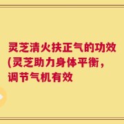 灵芝清火扶正气的功效(灵芝助力身体平衡，调节气机有效