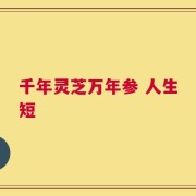 千年灵芝万年参 人生短