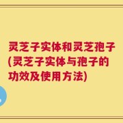 灵芝子实体和灵芝孢子(灵芝子实体与孢子的功效及使用方法)