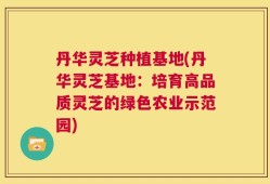 丹华灵芝种植基地(丹华灵芝基地：培育高品质灵芝的绿色农业示范园)