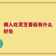 病人吃灵芝香菇有什么好处