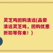 灵芝鸡团购清远(品尝清远灵芝鸡，团购优惠折扣等你来！)