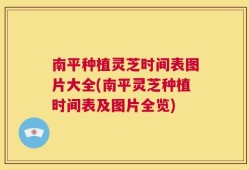 南平种植灵芝时间表图片大全(南平灵芝种植时间表及图片全览)