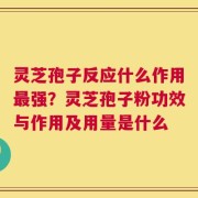 灵芝孢子反应什么作用最强？灵芝孢子粉功效与作用及用量是什么