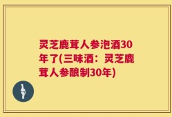 灵芝鹿茸人参泡酒30年了(三味酒：灵芝鹿茸人参酿制30年)