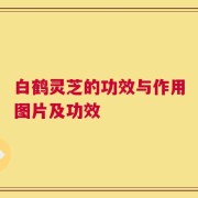 白鹤灵芝的功效与作用图片及功效