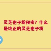 灵芝孢子粉秘密？什么是纯正的灵芝孢子粉