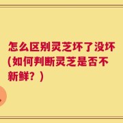 怎么区别灵芝坏了没坏(如何判断灵芝是否不新鲜？)