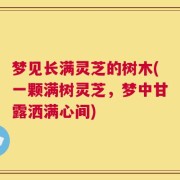 梦见长满灵芝的树木(一颗满树灵芝，梦中甘露洒满心间)