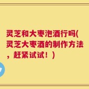 灵芝和大枣泡酒行吗(灵芝大枣酒的制作方法，赶紧试试！)