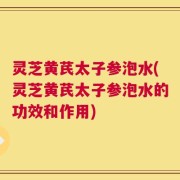 灵芝黄芪太子参泡水(灵芝黄芪太子参泡水的功效和作用)