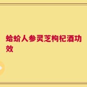 蛤蚧人参灵芝枸杞酒功效