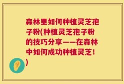 森林里如何种植灵芝孢子粉(种植灵芝孢子粉的技巧分享——在森林中如何成功种植灵芝！)