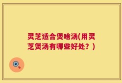 灵芝适合煲啥汤(用灵芝煲汤有哪些好处？)